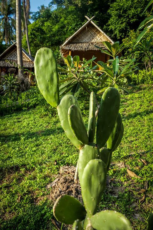 Villa The Earth House Ko Tao Exterior foto